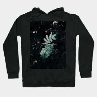 4th Position Hoodie